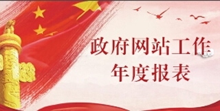 淮南市政务服务中心政府网站2019年度工作报表